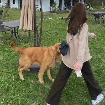 单身即地狱第四季